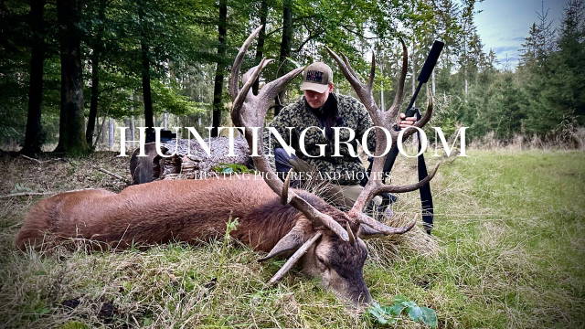 Der Traum vom 1er I Hirschjagd in der Eifel