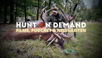Filme, Podcast & Neuigkeiten 11/2024