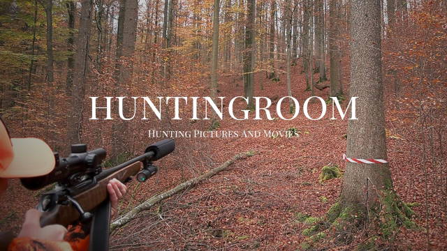 Traumdrückjagd im Huntingroom 
