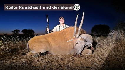Keiler in der Rauschzeit und die Eland Pirsch - Namibia Otjiruze Teil 3