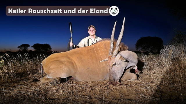 Keiler in der Rauschzeit und die Eland Pirsch - Namibia Otjiruze Teil 3