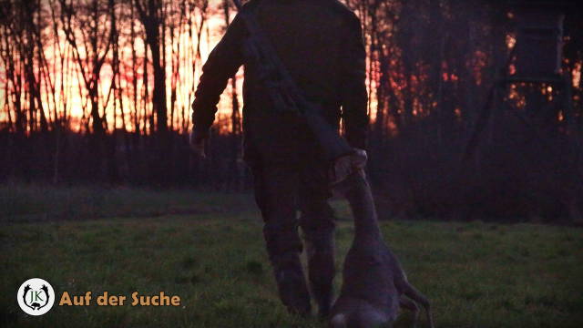 Auf der Suche ...