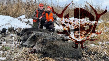 Schilfdrückjagd 5.0