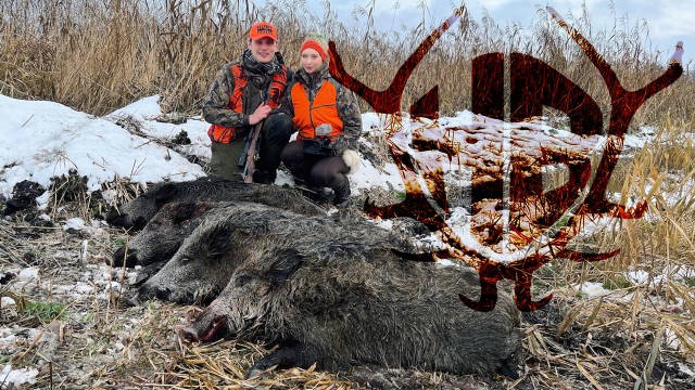 Schilfdrückjagd 5.0