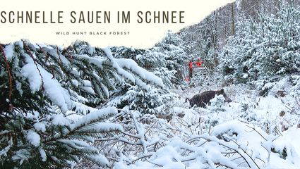 Schnelle Sauen im Schnee -Drückjagd bei den Reilmanns-