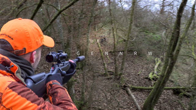 Das Wildschwein & die Drohne – Drückjagd bei CopterPro