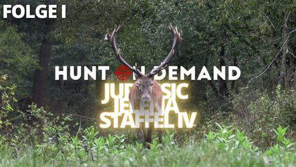 FOLGE 1 – Jurassic Jelena Staffel IV – Ankunft