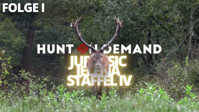 FOLGE 1 – Jurassic Jelena Staffel IV – Ankunft