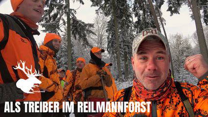 Als Treiber im Reilmannforst | Best of Drückjagd