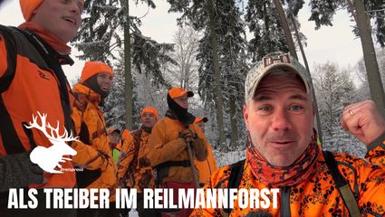 Als Treiber im Reilmannforst | Best of Drückjagd