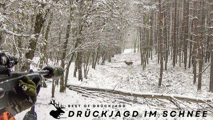 Drückjagd im Schnee