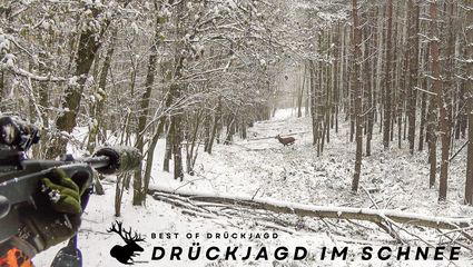 Drückjagd im Schnee