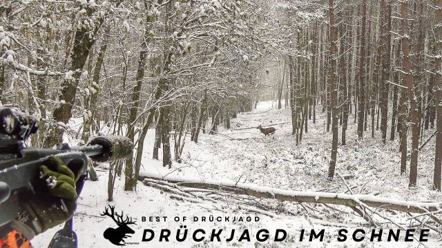 Drückjagd im Schnee