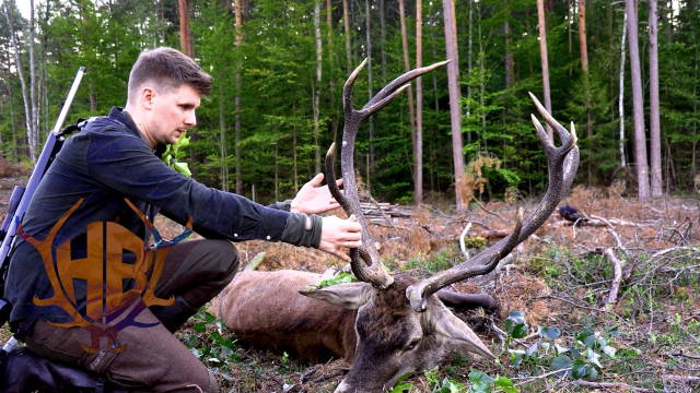 traumhafte Hirschjagd mit TTA-Jagdreisen