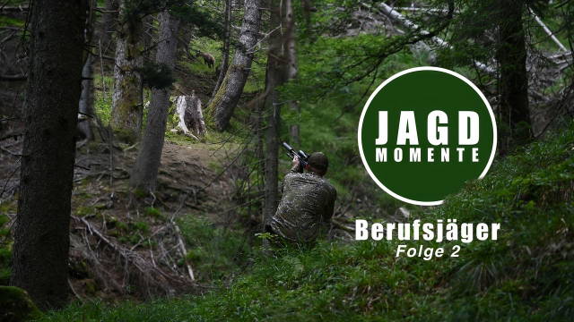 DER BERUFSJÄGER | Folge 2 | Schwarzwild und Gebirgsjagd im Sommer