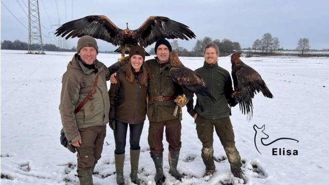 Auf Jagd mit dem König der Lüfte