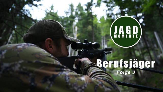 DER BERUFSJÄGER | Folge 3 | Auf der Pirsch in grüner Hölle