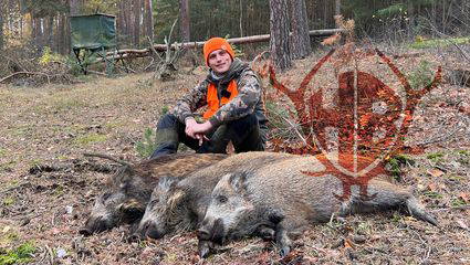 Drückjagd beim WildJaeger in Brandenburg