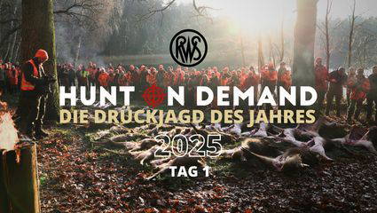 Drückjagd des Jahres 2025 Tag 1