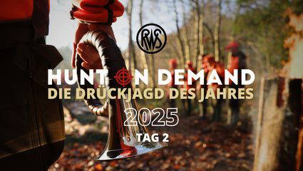 Drückjagd des Jahres 2025 Tag 2