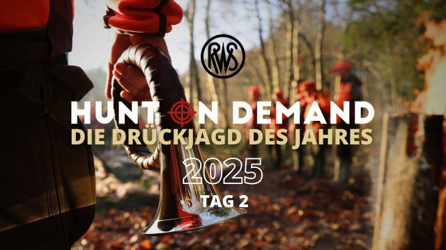 Drückjagd des Jahres 2025 Tag 2
