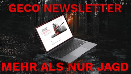 Ab 2025 keine Aktion mehr verpassen!
