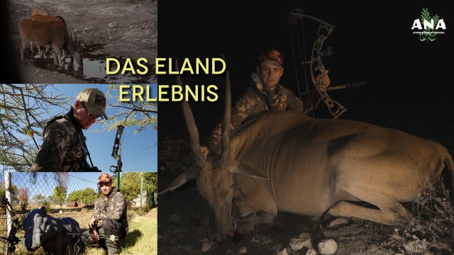 Das Eland Erlebnis