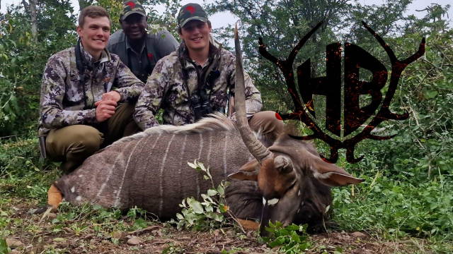 Auf Nyalas in Süd-Afrika