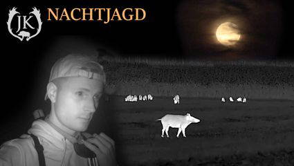 Nachtjagd auf Sauen im Jagdjahr