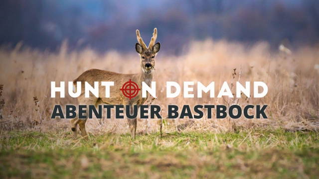 Abenteuer Bastbock