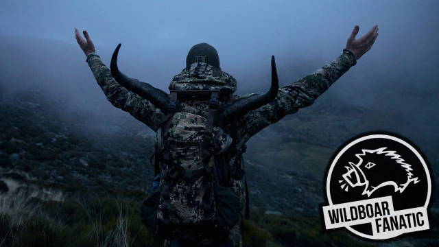 Macho montés de Gredos | Jagd auf den Gredos-Steinbock