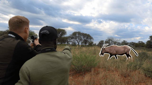 Starker Oryx in Namibia | Copterpro auf Jagd in Afrika