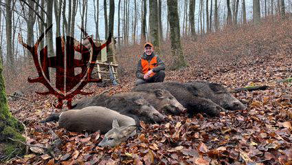Drückjagd auf dem Traumstand!