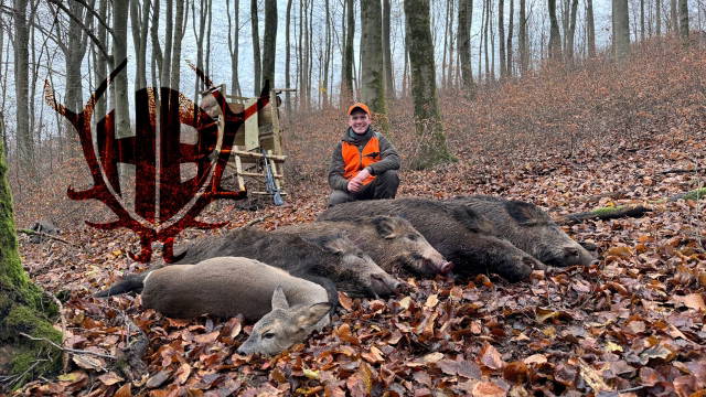 Drückjagd auf dem Traumstand!