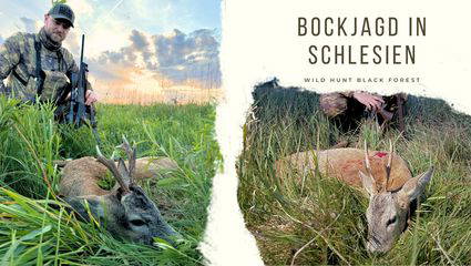 Bockjagd in Schlesien