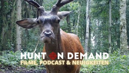Filme, Podcast & Neuigkeiten 05/2025