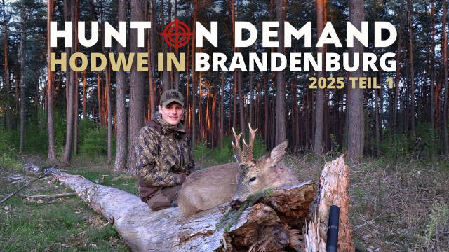 Jagdwoche in Brandenburg – HODWE 2025 Teil 1