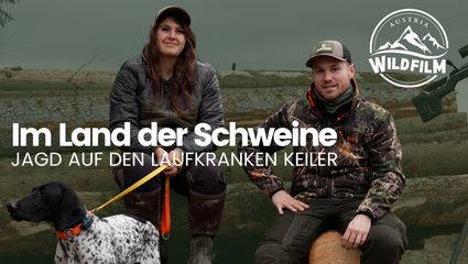 Im Land der Schweine - Jagd auf den laufkranken Keiler
