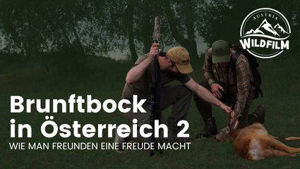 Brunftbock in Österreich, oder wie man Freunden eine Freude macht Teil 2