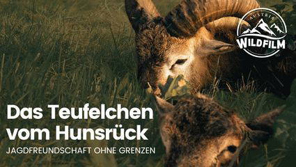 Das Teufelchen vom Hunsrück