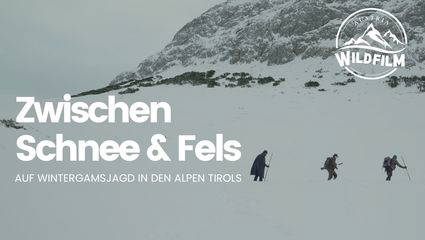 Zwischen Schnee & Fels, Jagd auf Wintergams in den Alpen Tirols