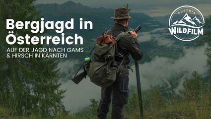 Bergjagd in Österreich, auf der Jagd nach Gams und Hirsch in Kärnten