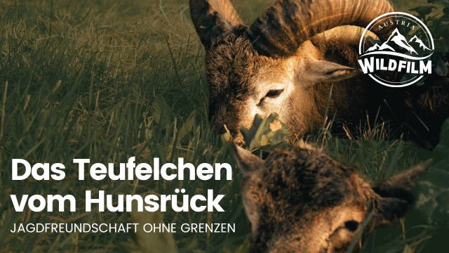 Das Teufelchen vom Hunsrück