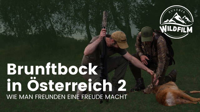 Brunftbock in Österreich, oder wie man Freunden eine Freude macht Teil 2