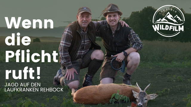 Wenn die Pflicht ruft! - Jagd auf den laufkranken Rehbock