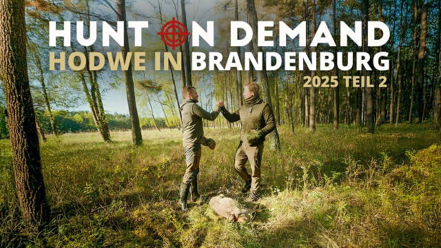 Jagdwoche in Brandenburg – HODWE 2025 Teil 2