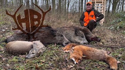 Drückjagd - Fehlschüsse inklusive