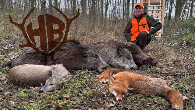 Drückjagd - Fehlschüsse inklusive
