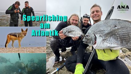 Spearfishing am Atlantik - Teil 2