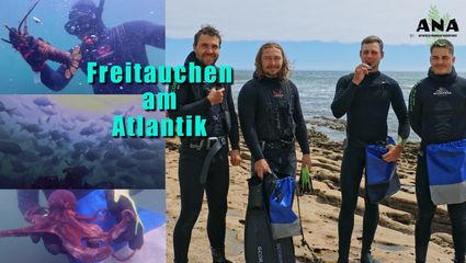 Freitauchen am Atlantik - Teil 3